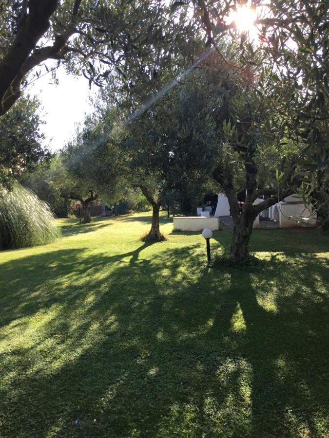 Villa Hrisavgi Никити Экстерьер фото